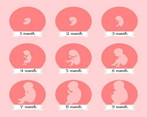 代孕公司比较，卵巢早衰有哪些症状表现