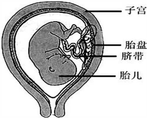 上海代孕中介:在五九医院检查出多囊卵巢综合征