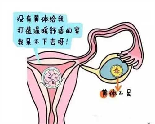 代孕需要多少钱_输卵管粘连用腹腔镜手术效果好