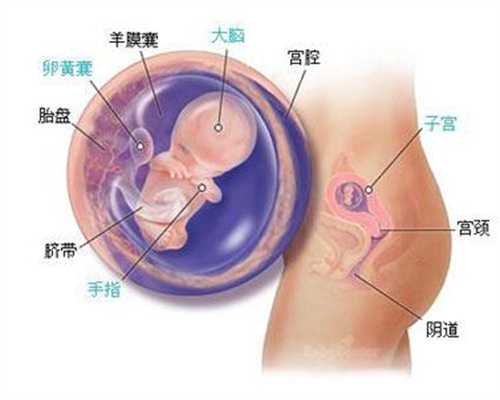 广州代孕得多钱_广州先天无子宫要孩子技术成熟