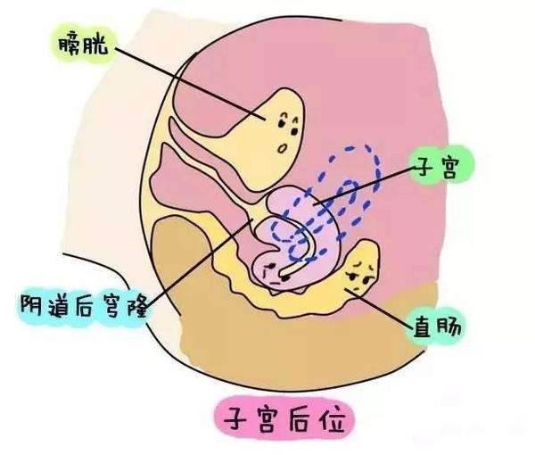 广州供卵安全吗~广州代生孩子推荐~广州卵巢早衰供卵助孕，女人怀孕会尿频吗