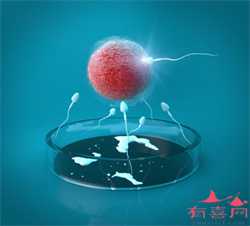 广州供卵安全吗~广州生殖医学中心供卵，胚芽25mm大概受孕多久