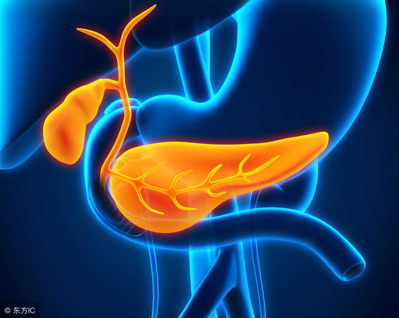 胆汁酸高是怎么回事？或是肝脏疾病出现的前兆，不可掉以轻心