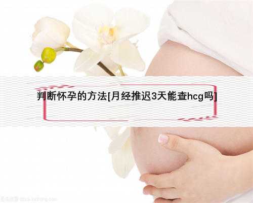 判断怀孕的方法[月经推迟3天能查hcg吗]
