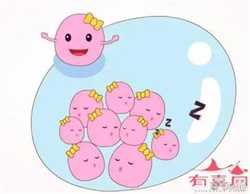 广州供精供卵费用大概多少，2023广州供卵生男孩包成
