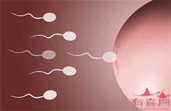 广州供卵试管供卵试管地址，卵巢早衰供卵成功率高吗