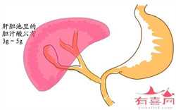 广州助孕助孕妈妈，广州助孕中心试管婴儿成功率有多高广州试管婴儿
