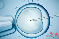 广州提供找捐卵，广州供卵试管生男孩捐卵