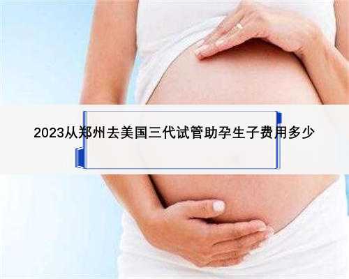 2023从郑州去美国三代试管助孕生子费用多少