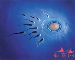 广州如何接受捐卵，广州供卵试管生男孩捐卵